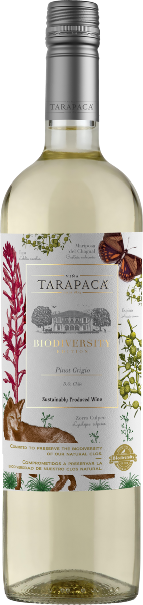 Packshot de  Vino Blanco Varietal Edicion Biodiversidad Pinot Grigio Valle del Maipo Viña Tarapaca
