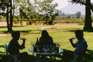 Experiences to enjoy in our vineyard -- Almuerzo Maridaje Tarapaca Valle del Maipo Chile