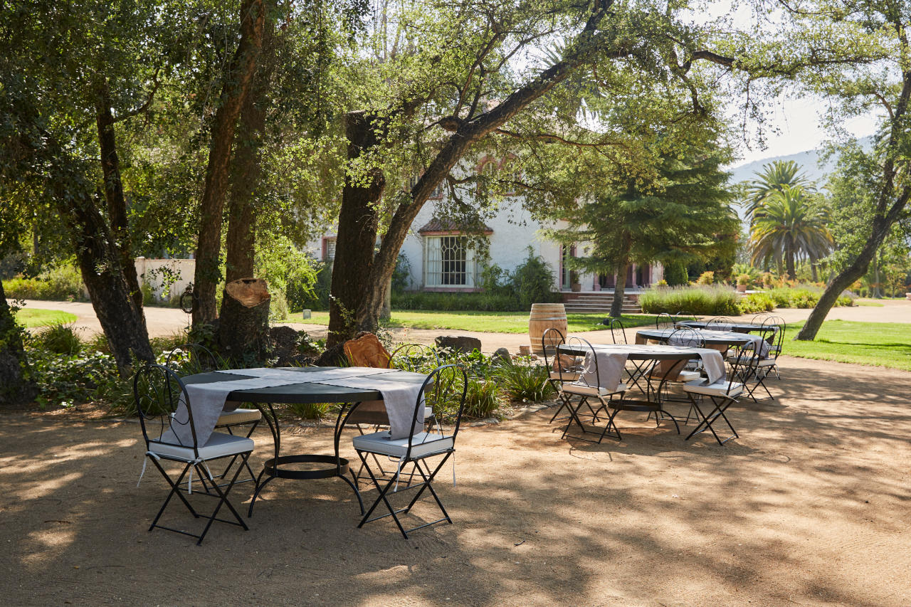 Experiências para viver na nossa vinícola -- Almuerzo Tarapaca Valle del Maipo Chile